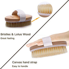 Load image into Gallery viewer, Ithyes Dry Brushing Body Brush Exfoliating Brush Natural Bristle bath Brush for Remove Dead Skin Toxins Cellulite,Treatment,Improves Lymphatic Functions,Exfoliates,Stimulates Blood Circulation