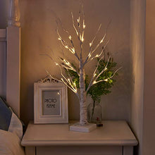 Load image into Gallery viewer, Eambrite Set of 2 Small Birch Twig Tree Lights Photo Display Tree with 24 Warm White LEDs Battery Operated Tabletop Decoration for Xmas Home Party Wedding (60cm/2ft)