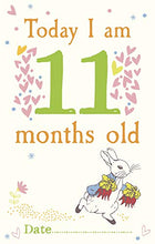 Load image into Gallery viewer, Peter Rabbit Baby Cards: for Milestone Moments