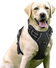 Load image into Gallery viewer, rabbitgoo No-Pull Dog Harness Padded Adjustable Pet Vest Harness with Handle Front Clip Harness for Large Dogs Training or Walking, Durable and No Choking-Black
