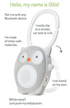 Load image into Gallery viewer, SoundBub by WavHello, White Noise Machine and Bluetooth Speaker | Portable and Rechargeable Baby Sleep Sound Soother – Ollie The Owl, Grey