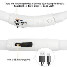 Load image into Gallery viewer, Joytale Light Up Dog Collar,LED Flashing Dog Collar for Night Walking, Illuminated USB Rechargeable Glow Collars for Puppy Small Medium and Large Dogs,White