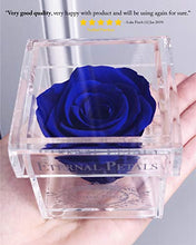 Load image into Gallery viewer, Eternal Petals Solo - A Real Rose That Lasts A Year - Perfect Unique Gift for Women, Men, Birthday Gift (Deep Red)