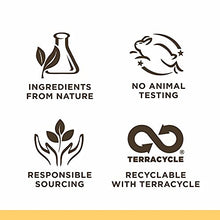 Load image into Gallery viewer, Burt's Bees 100% Natural Moisturising Lip Balm 4 Pack, Freshly Picked - Beeswax, Cucumber Mint, Watermelon & Sweet Mandarin - 4 Tubes