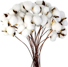 Load image into Gallery viewer, Ruiuzioong Natural Dried Cotton Stem Farmhouse Artificial Flower Filler Floral Arrangement DIY Home Party Decor (20pcs pack)