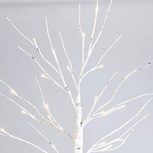 Load image into Gallery viewer, Eambrite Mini White Tree Christmas Cards Display Tree Tabletop Birch Tree Battery Operated LED Twig Tree for Party Wedding Christmas Special Celebration (60cm)