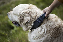 Load image into Gallery viewer, Julius-K9 Colour and Gray Collar with Handle, Safety Lock and Interchangeable Patch, 40 mm (38-53 cm), Black-Gray