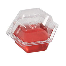 Load image into Gallery viewer, Beapco 10036 Pre-Filled Fruit Fly Trap, Pack of 6, Clear, 20 in