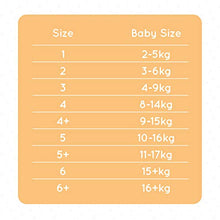 Load image into Gallery viewer, Mama Bear - Disney - 172 Ultra Dry Nappies - Size 3 (4-9 kg) - MONTHLY PACK