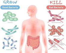 Load image into Gallery viewer, NATURELO Probiotic Supplement - 50 Billion CFU - 11 Strains - One Daily - Helps Support Digestive & Immune Health - Delayed Release - No Refrigeration Needed - 30 Vegan Capsules