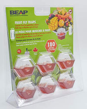 Load image into Gallery viewer, Beapco 10036 Pre-Filled Fruit Fly Trap, Pack of 6, Clear, 20 in