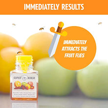 Load image into Gallery viewer, Super Ninja - Fruit Fly Trap - Single Pack - Highly Effective Ecological Fruit Fly Traps Indoor - Environmentally Responsible Fruit Fly Killer - User Friendly - Up to 3 Weeks per Bottle