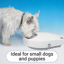 Load image into Gallery viewer, Cat Mate C500 Automatic Pet Feeder | Cat or Small Dog Bowl with Digital Timer | For Wet or Dry Pet Food, 5 Meal Carousel, up to 330g in Each