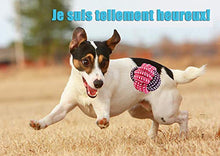 Load image into Gallery viewer, FONPOO Dog Toys Avoiding Dogs Boredom Anxiety Dog Chew Toys for Medium Dogs Puppy Toys Dog Birthday Gift Sets (Blue, SET of 10)