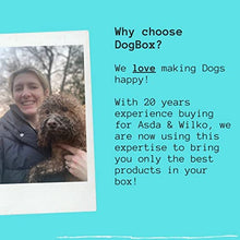 Load image into Gallery viewer, DogBox Boutique 6 Item DogBox Dog Gifts Box Dog Hamper Perfect For Dog Birthday, Christmas Or A Monthly Treat - Bursting Dog Treats, Toys And Accessories…