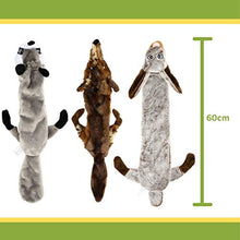 Load image into Gallery viewer, Buddy Wild Plush Dog Toys - Squeaky, cuddly soft chew bundle - 5 pack set - durable, interactive toys for puppy and small dogs - variety with 3 no stuffing animals