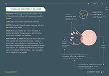 Load image into Gallery viewer, Lactivate!: A User's Guide to Breastfeeding