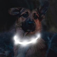 Load image into Gallery viewer, Joytale Light Up Dog Collar,LED Flashing Dog Collar for Night Walking, Illuminated USB Rechargeable Glow Collars for Puppy Small Medium and Large Dogs,White