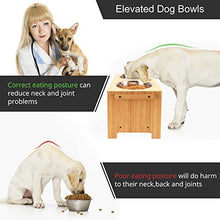 Load image into Gallery viewer, Raised Dog Bowls for Large Dogs, Elevated Dog Bowls Double, Bamboo Dog Food Bowl with 2 Stainless Steel by Nothing burger