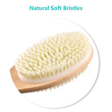 Load image into Gallery viewer, Back Scrubber for Shower with Long Wooden Handle,Body Brush for Exfoliating Skin with Soft and Stiff Bristles,Shower Brush Bath Brush Body Scrubber for Wet or Dry Brushing