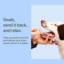 Load image into Gallery viewer, Wisdom Panel Breed Discovery - Dog DNA Collection Kit 2.0