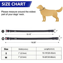 Load image into Gallery viewer, Amazon Brand - Umi Reflective Dog Collar, Adjustable Basic Dog Collar with Safety Locking Buckle and Soft Neoprene Padded, Durable Nylon Pet Collars for Puppy Small Medium Large Dogs
