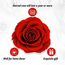 Load image into Gallery viewer, Preserved Real Rose, Gift Box with I Love You Necklace, Handmade Eternal Real Rose Flower Gifts for Her Woman Wife Girlfriend Mother on Birthday, Anniversary, Valentine's Day, Mother's Day, Christmas