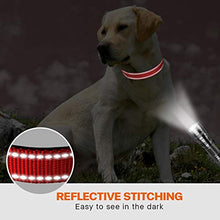 Load image into Gallery viewer, Taglory Reflective Nylon Dog Collar with Safety Buckle, Adjustable Pet Collars with Soft Neoprene Padding for Medium Dogs, Red