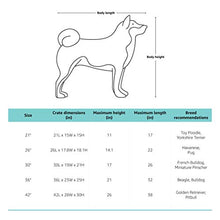 Load image into Gallery viewer, Amazon Basics - Foldable soft pet carrier, high quality, 76 cm, Gray