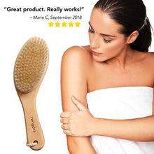 Load image into Gallery viewer, Rengöra Body Brush Perfect for Dry Brushing, Exfoliating, and Reducing the Appearance of Cellulite. Dry Brush and Get Healthier Skin Today