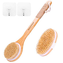 Load image into Gallery viewer, Sportout 2 Packs Dry Brushing Body Brush, Exfoliating Bath Shower Scrubber, Natural Bristle Cellulite Massager