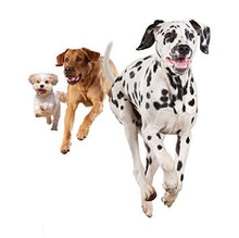 Load image into Gallery viewer, Skinners Life Complete Dry Sensitive Dog Food Chicken, 12.5 kg