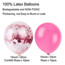 Load image into Gallery viewer, Recosis Birthday Party Decorations, Pink Party Decorations for Girls Women, Happy Birthday Banner, Curtains, Paper Pompoms and Fans, Garland, Confetti Balloons for Birthday Party Decorations