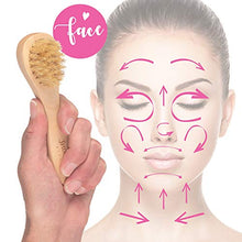 Load image into Gallery viewer, 3 x Brush - Dry Body Brushing Set by Snoozing Beauty | SOFT Cleansing Face Brush | MEDIUM and FIRM Body Brushes | Pumice Stone for Dry Skin Foot Care