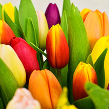 Load image into Gallery viewer, All Occasions Tulip Selection Hand-Tied, Beautiful Fresh Flowers, A Perfect Mother's Day Fresh Flower Gift