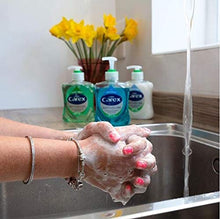 Load image into Gallery viewer, Carex Dermacare Aloe Vera Antibacterial Hand Wash Pack of 6, Cleansing Hand Soap that's gentle and Protects Hands, Antibacterial Soap with Added Moisturisers, Aloe Vera Soap, 250 ml (Pack of 6)
