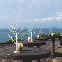 Load image into Gallery viewer, Eambrite Set of 2 Small Birch Twig Tree Lights Photo Display Tree with 24 Warm White LEDs Battery Operated Tabletop Decoration for Xmas Home Party Wedding (60cm/2ft)