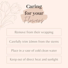Load image into Gallery viewer, Clare Florist Rose and Freesia Fresh Flower Bouquet - Beautiful Roses and Freesia Flowers Arranged by Florists