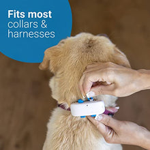 Load image into Gallery viewer, Tractive GPS DOG 4. Dog Tracker. Always know where your dog is. Keep them fit with Activity Monitoring. Unlimited range. (Snow)