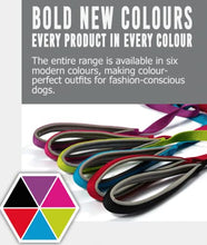 Load image into Gallery viewer, Ancol Viva Lightweight Buckle Collar Blue , Collar Size 3 to fit 28-36cm , Weather Proof