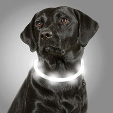 Load image into Gallery viewer, Joytale Light Up Dog Collar,LED Flashing Dog Collar for Night Walking, Illuminated USB Rechargeable Glow Collars for Puppy Small Medium and Large Dogs,White
