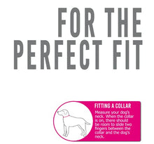 Load image into Gallery viewer, Ancol Viva Lightweight Buckle Collar Blue , Collar Size 3 to fit 28-36cm , Weather Proof