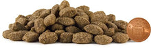 Load image into Gallery viewer, Skinners Life Complete Dry Sensitive Dog Food Chicken, 12.5 kg
