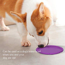 Load image into Gallery viewer, Vivifying Dog Frisbee, 2 Pack 7 Inch Natural Rubber Floating Dog Frisby Flying Saucer for Both Land and Water (Green + Purple)