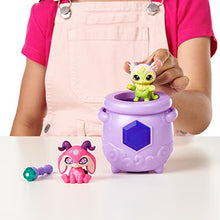 Load image into Gallery viewer, Magic Mixies - Mixlings 14660 Tap & Reveal 2 Pack, Wand Magic Power and Surprise Reveal on Cauldron, for Kids Aged 5 and Up (Styles May Vary)