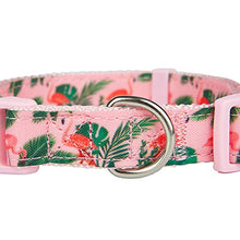 Load image into Gallery viewer, YUDOTE Pink Dog Collar Medium with Flamingos Print for Lively Female Girl Dogs Daily Use,Adjustable 31-49cm