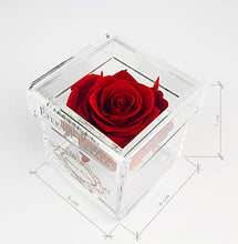 Load image into Gallery viewer, Eternal Petals Solo - A Real Rose That Lasts A Year - Perfect Unique Gift for Women, Men, Birthday Gift (Deep Red)