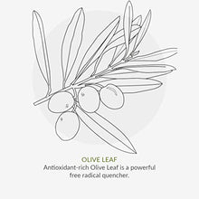 Load image into Gallery viewer, Green People Peppermint and Aloe Vera Toothpaste, 50 ml