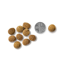 Load image into Gallery viewer, Vet's Kitchen - Grain Free - Complete Dry Dog Food - Sensitive Care Pork and Potato - Advanced Nutrition for your Adult Dog - 2.2kg