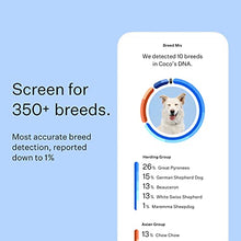 Load image into Gallery viewer, Wisdom Panel Breed Discovery - Dog DNA Collection Kit 2.0